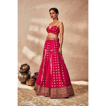 Masaba Pink Lehenga with Blouse and Dupatta (Set of 3)