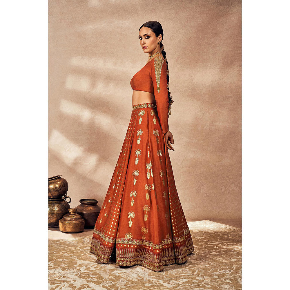 Masaba Rust Foil Lehenga with Blouse (Set of 2)