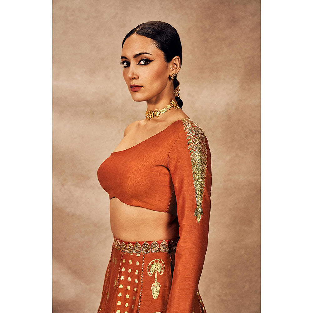 Masaba Rust Foil Lehenga with Blouse (Set of 2)