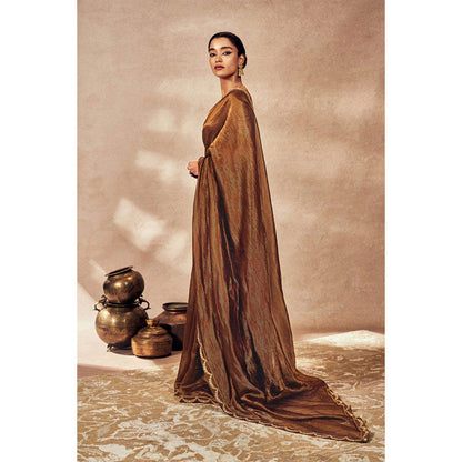 Masaba Brown Madakal Tissue Saree with Unstitched Blouse