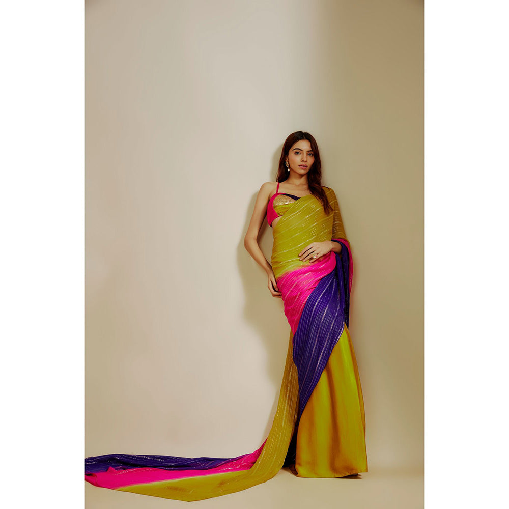 Masumi Mewawalla Multi-Colour Ombre Embroidered Saree with Stitched Blouse