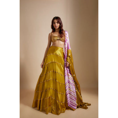 Masumi Mewawalla Mustard Lehenga with Embroidered Blouse and Dupatta (Set of 3)