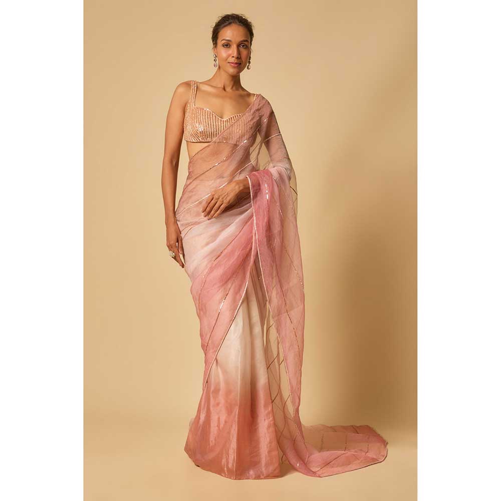 Masumi Mewawalla Tissue Embroidered Pre Draped Saree and Stitched Blouse
