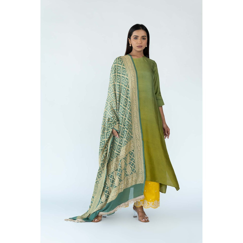 Meghna Panchmatia Green Ombre Kurta with Bandhej Dupatta (Set of 2)