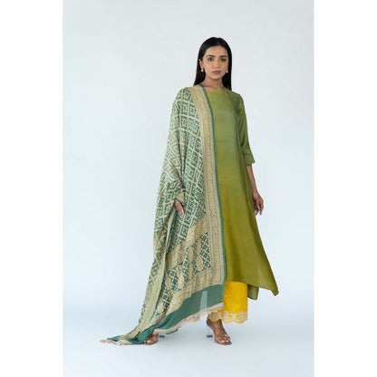 Meghna Panchmatia Green Ombre Kurta with Bandhej Dupatta (Set of 2)