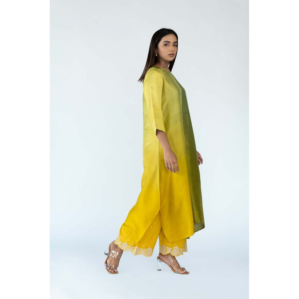Meghna Panchmatia Green Ombre Kurta with Bandhej Dupatta (Set of 2)