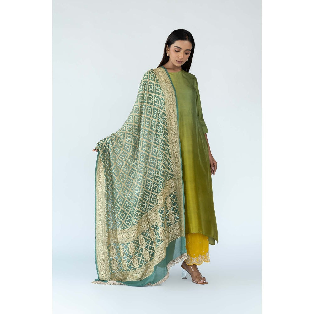 Meghna Panchmatia Green Ombre Kurta with Bandhej Dupatta (Set of 2)