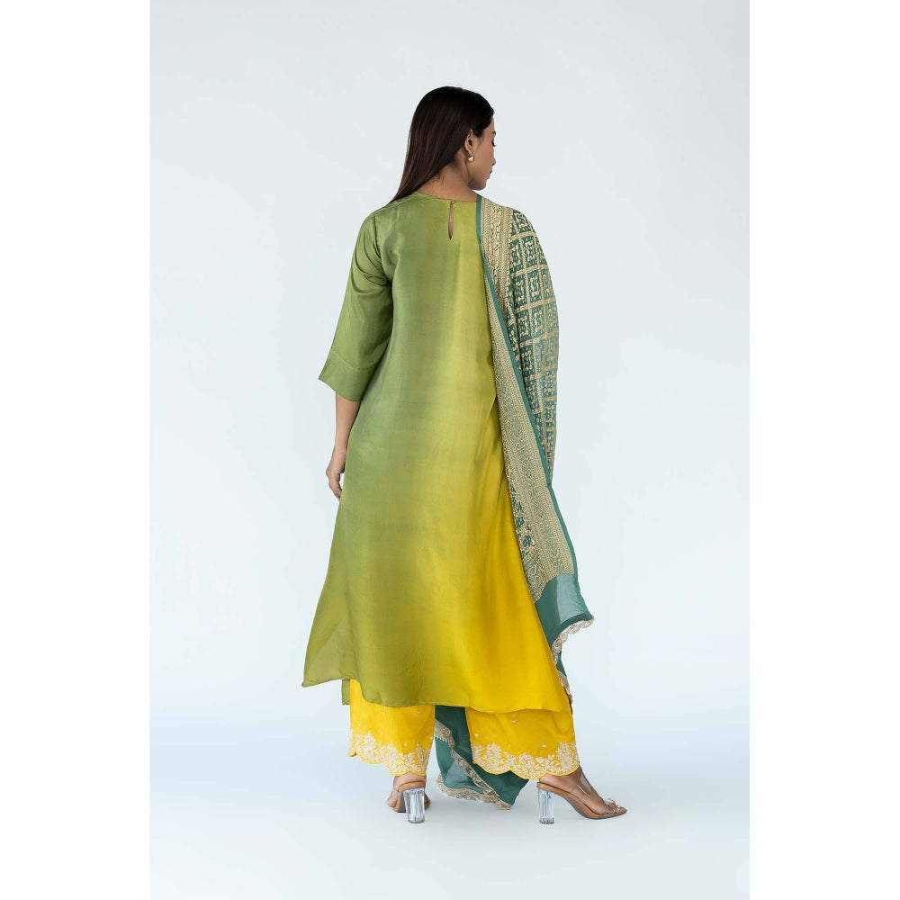 Meghna Panchmatia Green Ombre Kurta with Bandhej Dupatta (Set of 2)