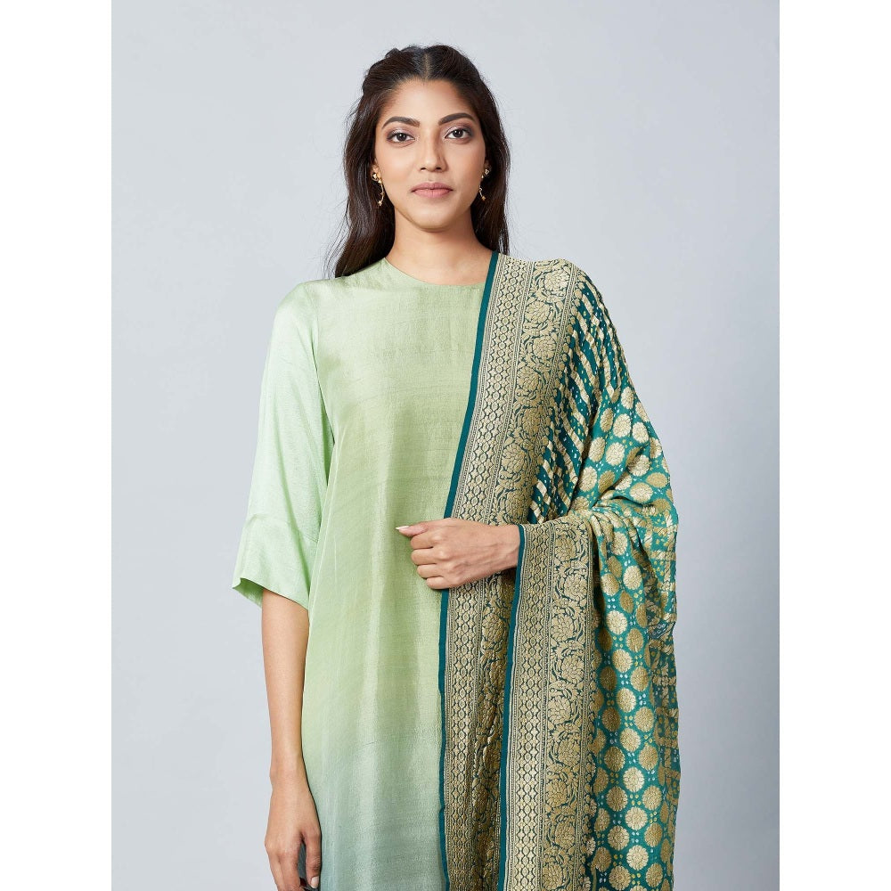 Meghna Panchmatia Pista Green Ombre Kurta with Bandhej Dupatta (Set of 2)