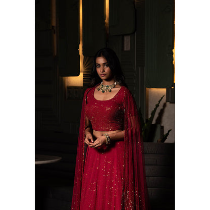 Midushi Bajoria Maroon Georgette Lehenga with Hand Embroidery Blouse & Dupatta (Set of 3)