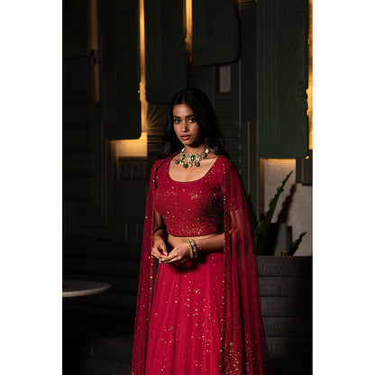 Midushi Bajoria Maroon Georgette Lehenga with Hand Embroidery Blouse & Dupatta (Set of 3)
