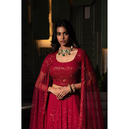 Midushi Bajoria Maroon Georgette Lehenga with Hand Embroidery Blouse & Dupatta (Set of 3)