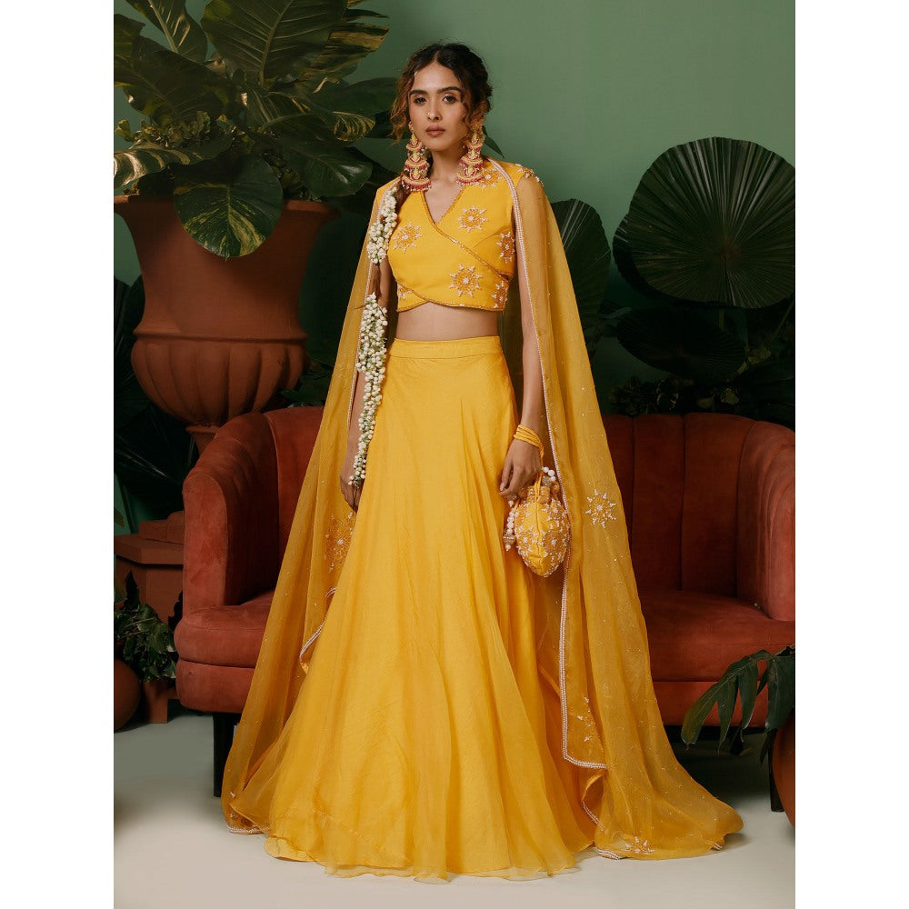 Midushi Bajoria Organza Lehenga & Dupatta with Georgette Blouse Hand Embellished (Set of 3)