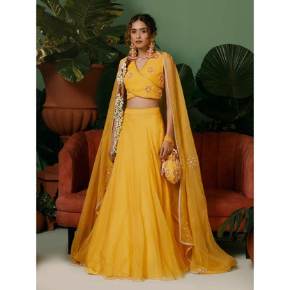 Midushi Bajoria Organza Lehenga & Dupatta with Georgette Blouse Hand Embellished (Set of 3)