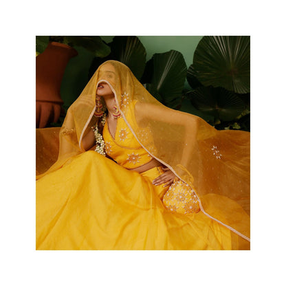 Midushi Bajoria Organza Lehenga & Dupatta with Georgette Blouse Hand Embellished (Set of 3)