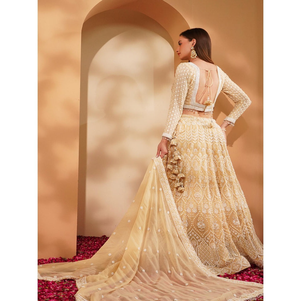 MILU MADAN Beige Lehenga with Blouse and Dupatta (Set of 3)