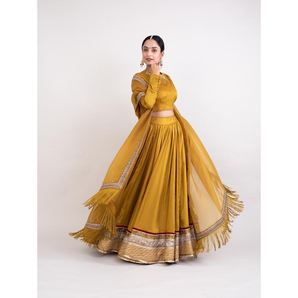Monika Mathuria Datta Mustard Embroidered Stitched Blouse with Lehenga and Dupatta (Set of 3)