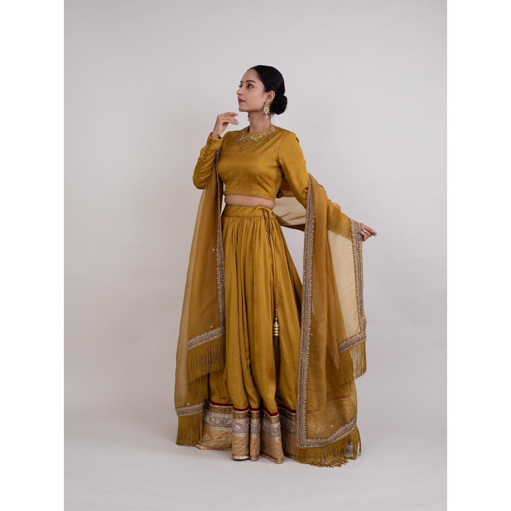 Monika Mathuria Datta Mustard Embroidered Stitched Blouse with Lehenga and Dupatta (Set of 3)