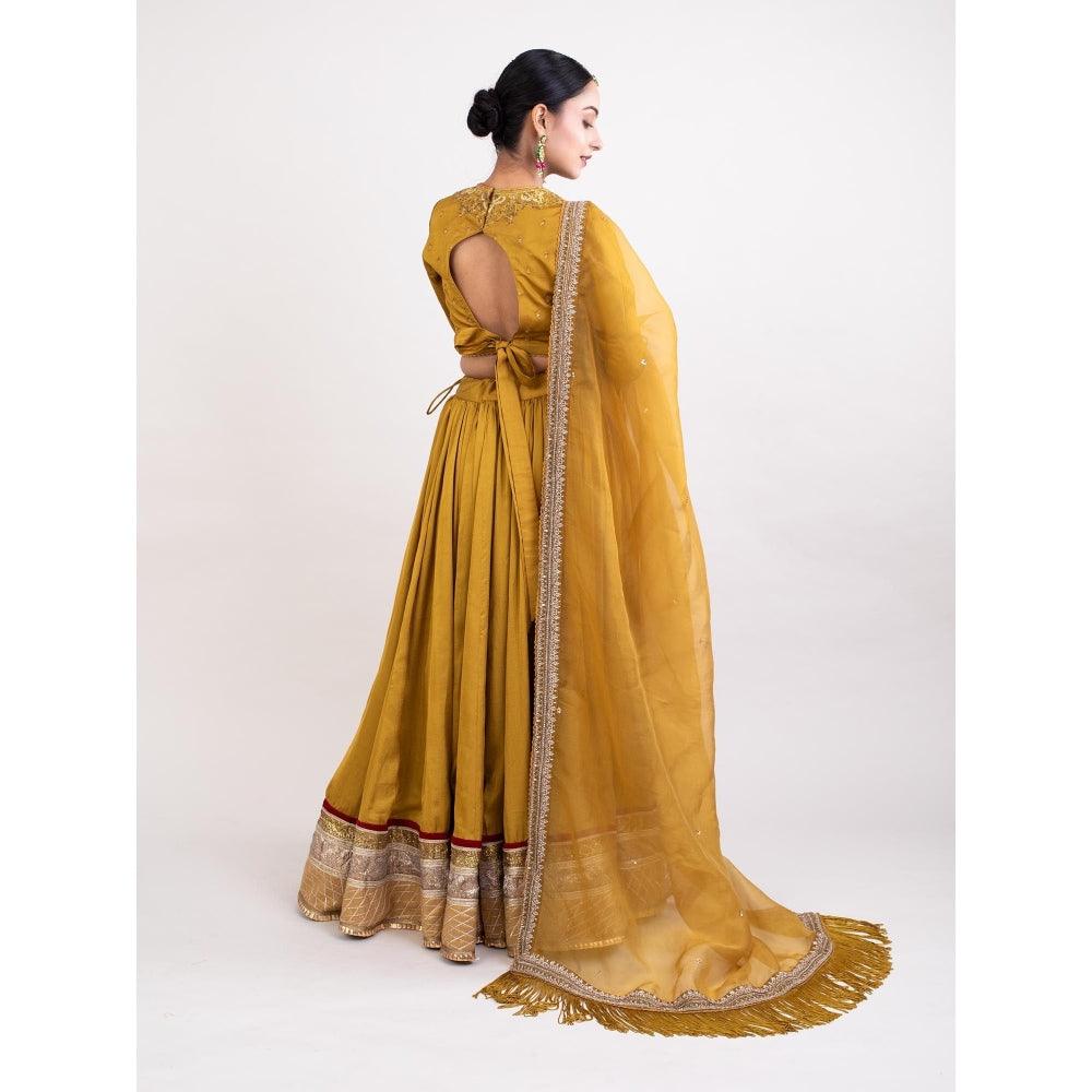 Monika Mathuria Datta Mustard Embroidered Stitched Blouse with Lehenga and Dupatta (Set of 3)