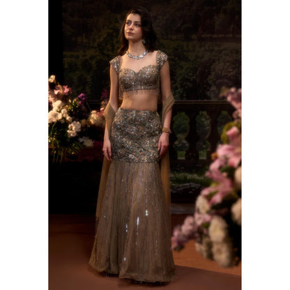 Muskan Aggarwal Zarreen Embellished Brown Stitched Blouse with Lehenga and Dupatta