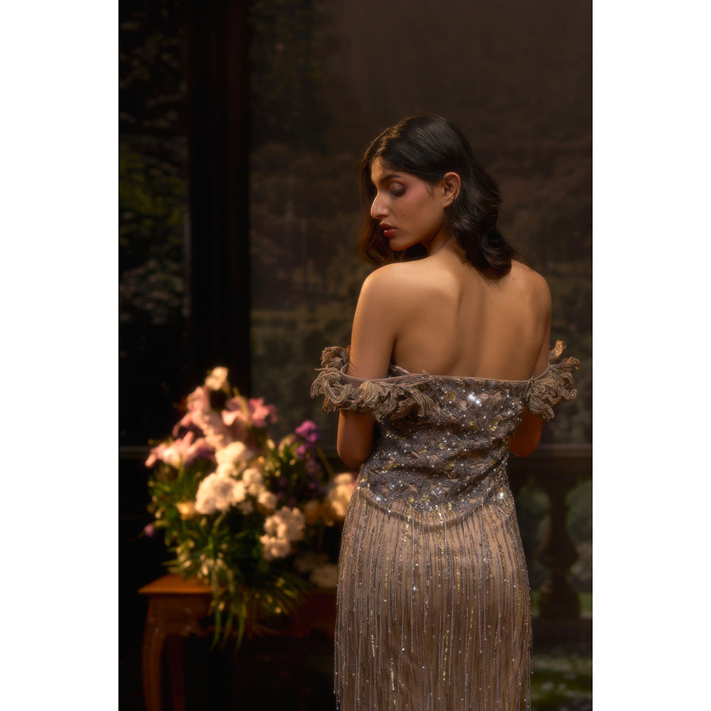 Muskan Aggarwal Women Net Taupe Gown