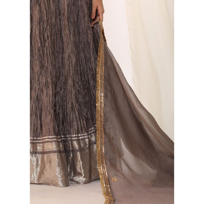 Myoho Brocade Waistcoat Paired with Crushed Skirt & Dupatta (Set of 3)