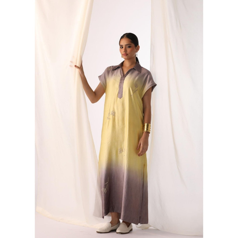 Myoho Ombre Hand Embroidered Maxi Dress