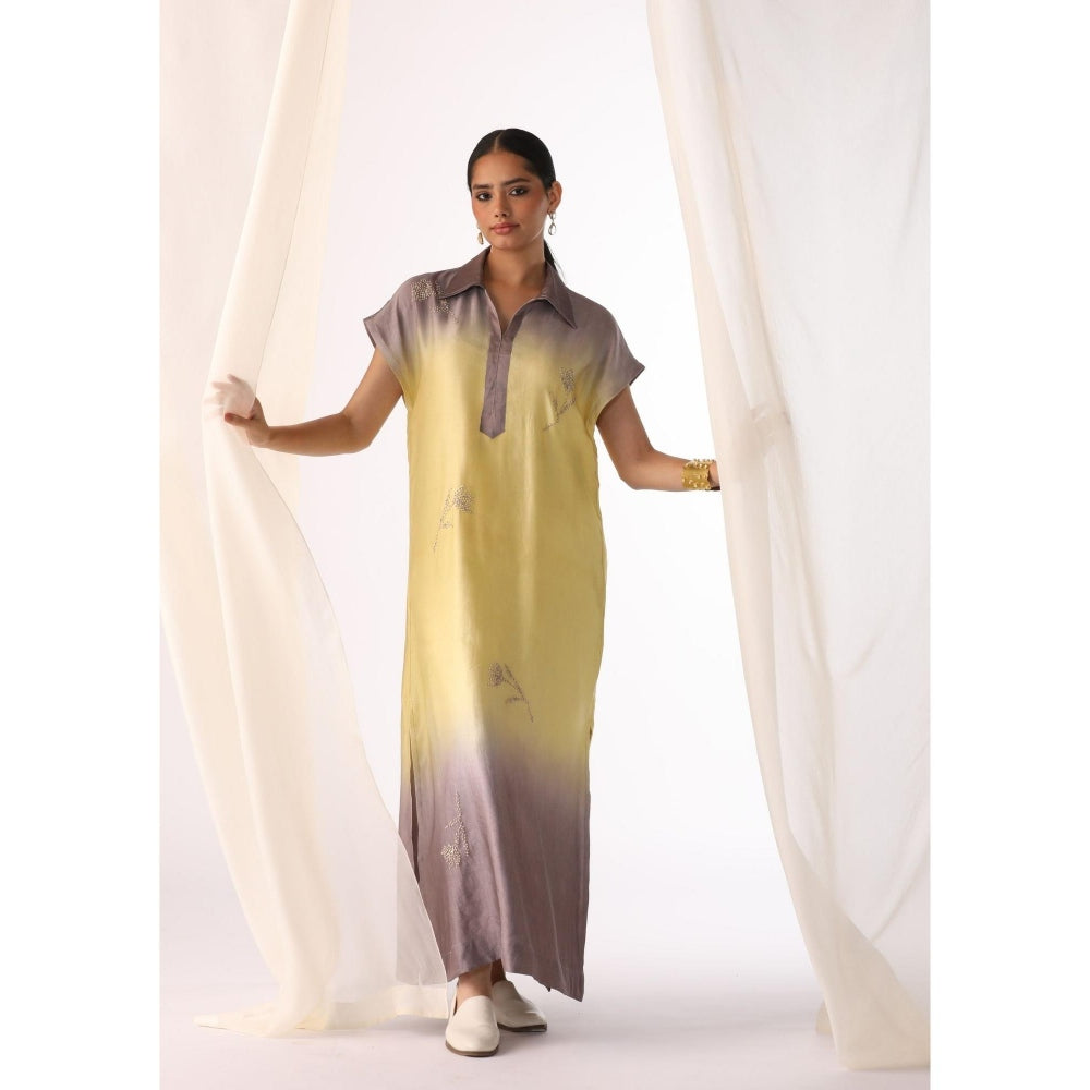 Myoho Ombre Hand Embroidered Maxi Dress