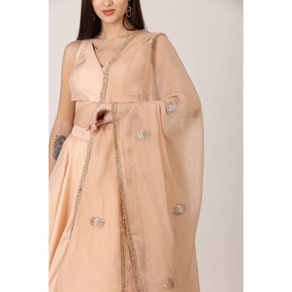 NAMAH BY PARUL MONGIA Beige Salmon Solid Blouse with Lehenga and Dupatta (Set of 3)