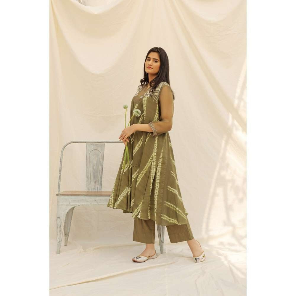 Neelu Sethi Hand Embroidered Organza Kurta and Pant (Set of 2)