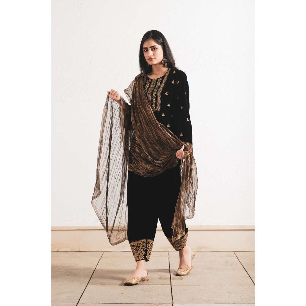 Neelu Sethi Velvet Dabka Embroidery Kurta and Salwar with Dupatta (Set of 3)