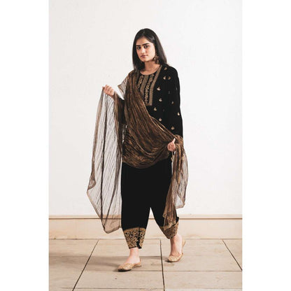 Neelu Sethi Velvet Dabka Embroidery Kurta and Salwar with Dupatta (Set of 3)