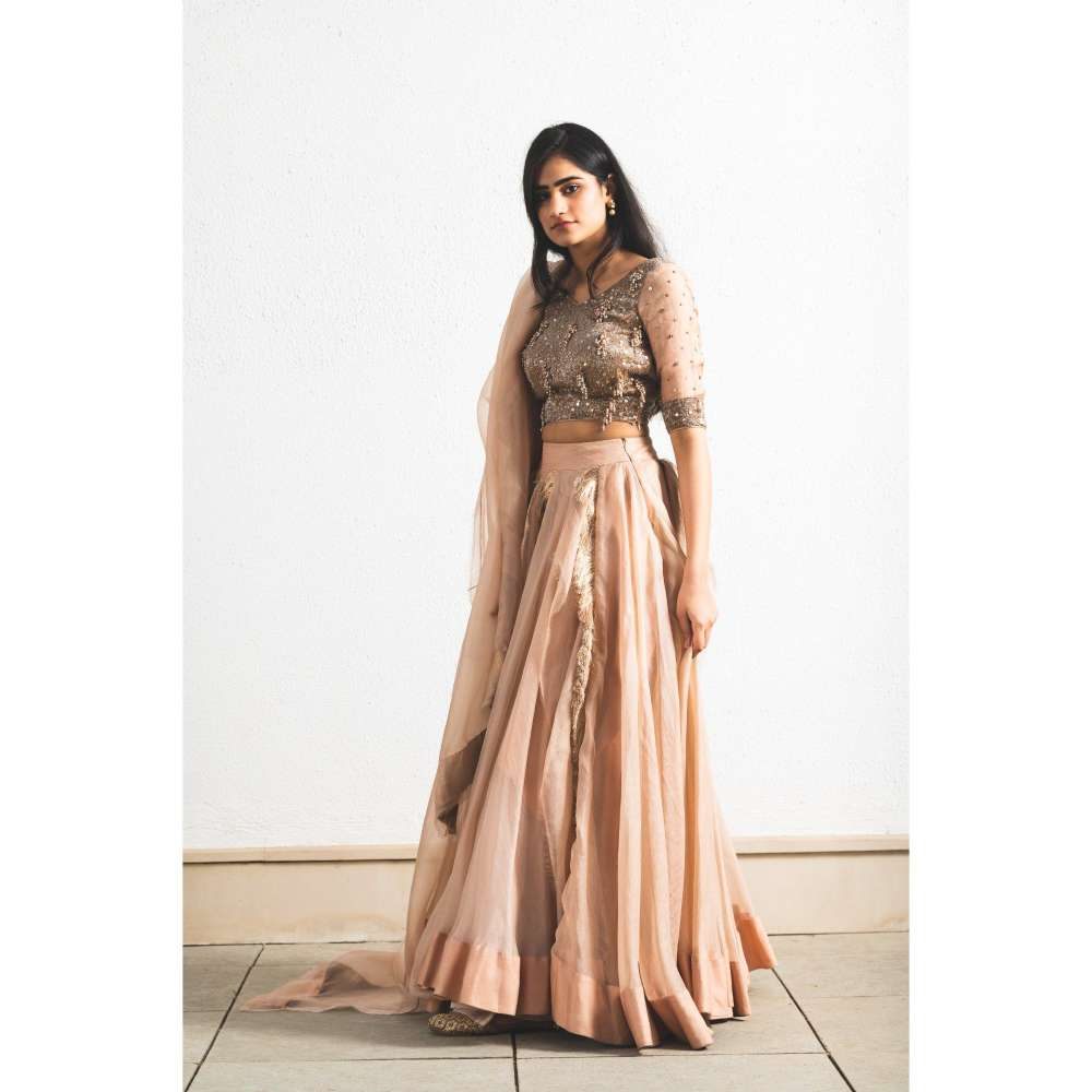 Neelu Sethi Organza Lehenga And Dupatta With Embroidered Blouse (Set of 3)