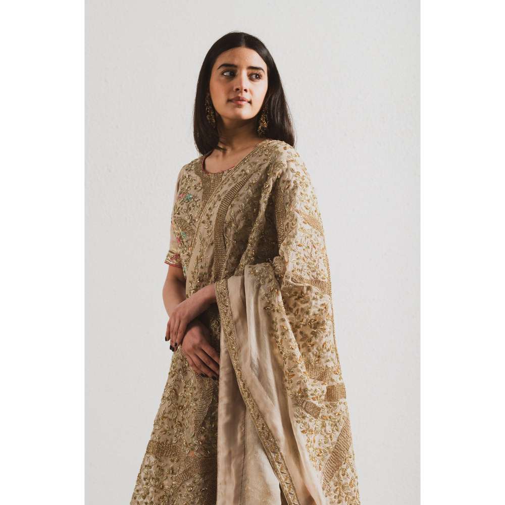 Neelu Sethi Silk Minakari Lehenga With Organza Embroidered Dupatta and Blouse (Set of 3)