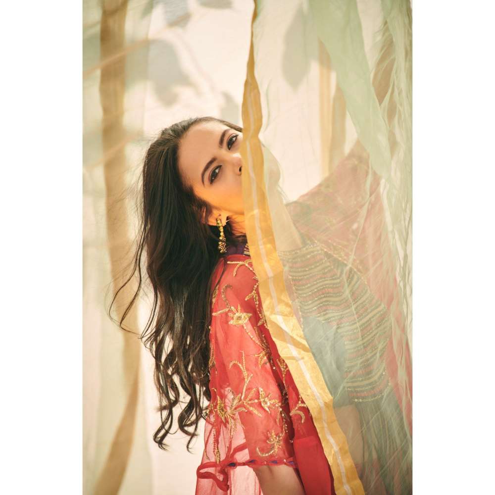 Neelu Sethi Embroidered Blouse And Salwar with Organza Cape (Set of 3)