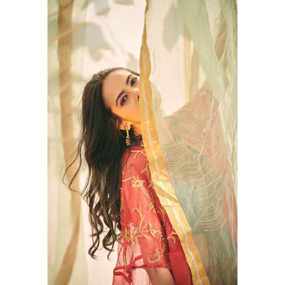 Neelu Sethi Embroidered Blouse And Salwar with Organza Cape (Set of 3)