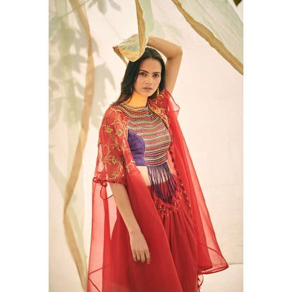 Neelu Sethi Embroidered Blouse And Salwar with Organza Cape (Set of 3)