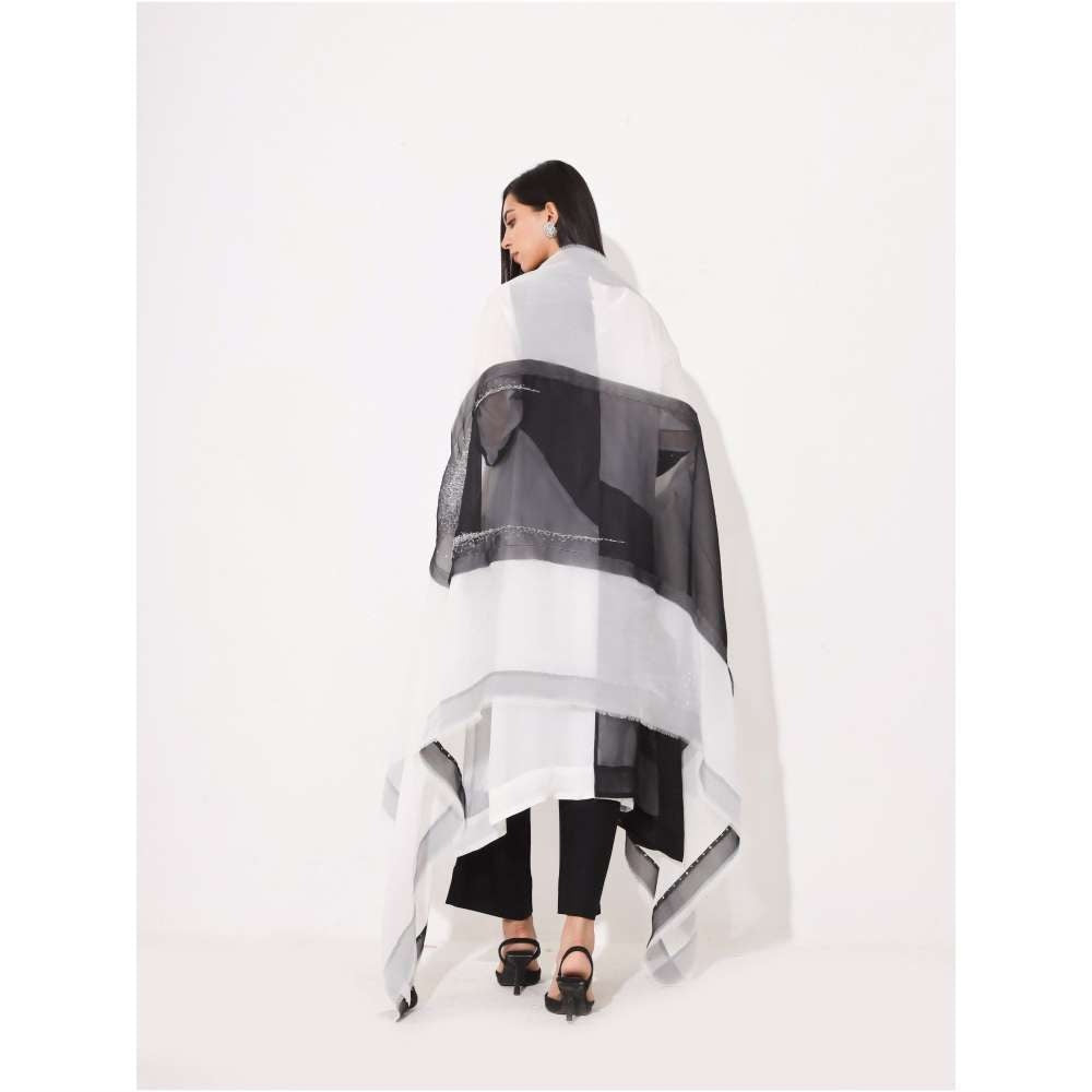 Neelu Sethi Black & White Organza Embroidered Kurta and Pant With Dupatta (Set of 3)