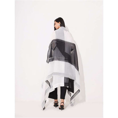 Neelu Sethi Black & White Organza Embroidered Kurta and Pant With Dupatta (Set of 3)