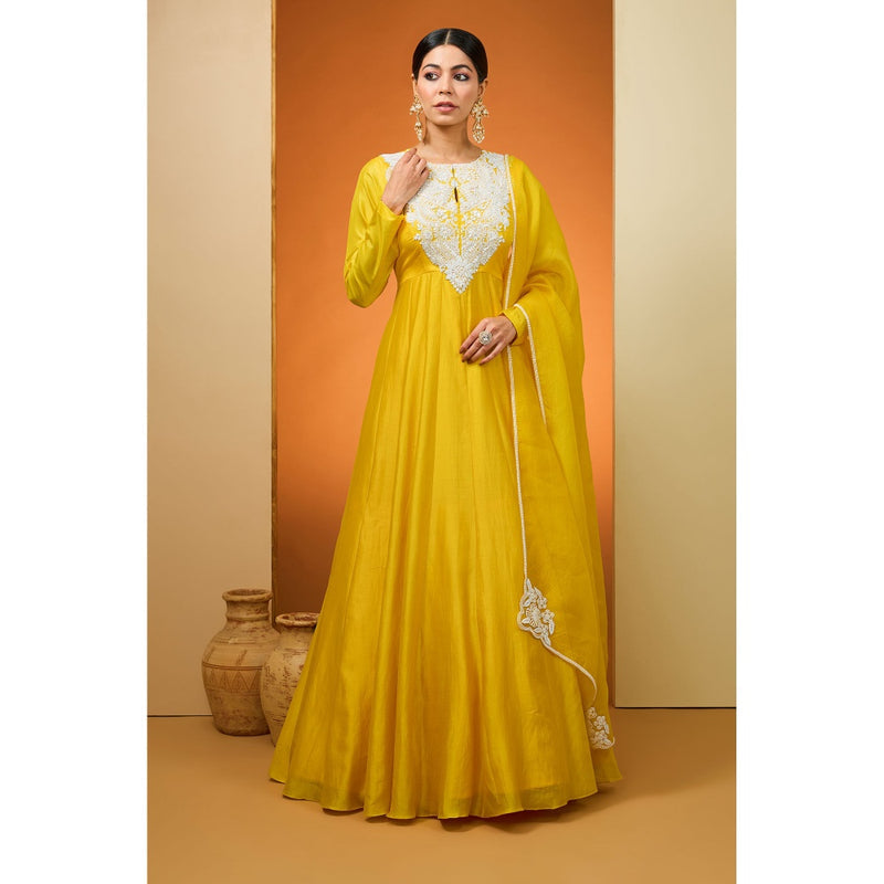 Neha Khullar Yellow Anarkali with Dupatta (Set of 2)