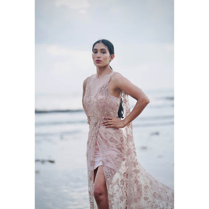 Neha Tarun Pink Embroidered Tulle Gown with Attached Drape