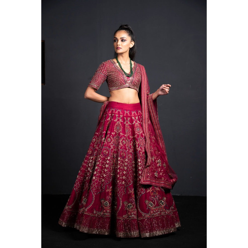 Neha Tarun Wine Lehenga with Blouse and Dupatta (Set of 3)