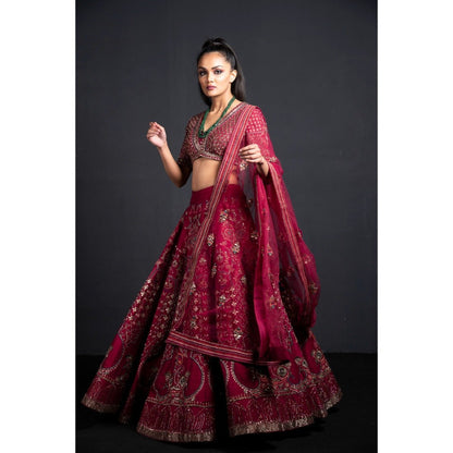 Neha Tarun Wine Lehenga with Blouse and Dupatta (Set of 3)