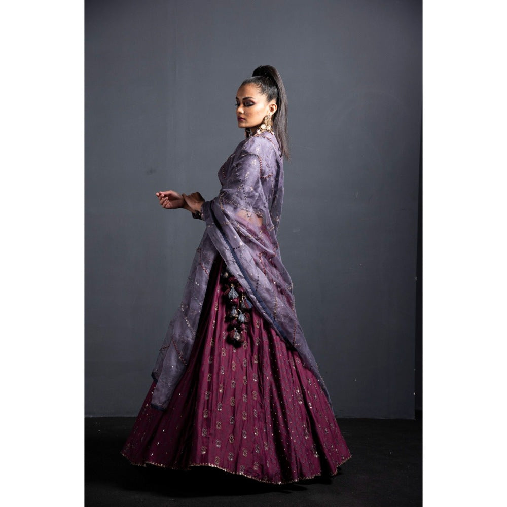 Neha Tarun Wine High Neck Blouse with Lehenga and Dupatta (Set of 3)