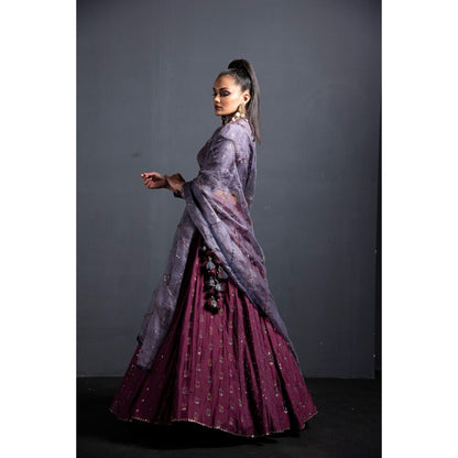 Neha Tarun Wine High Neck Blouse with Lehenga and Dupatta (Set of 3)
