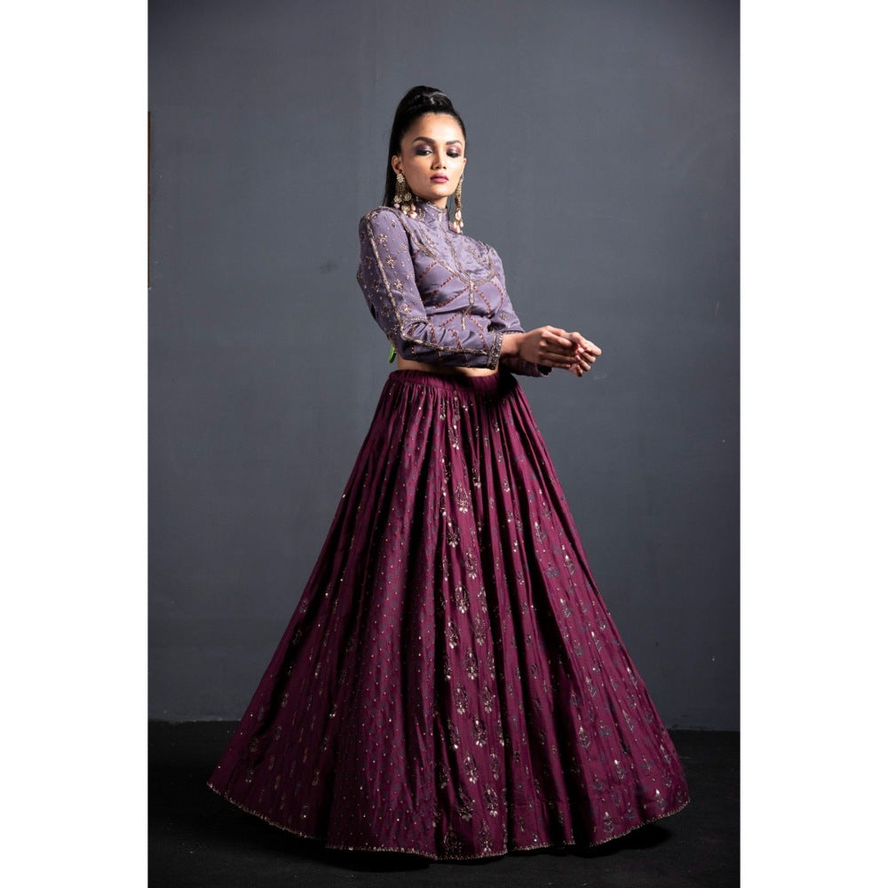 Neha Tarun Wine High Neck Blouse with Lehenga and Dupatta (Set of 3)