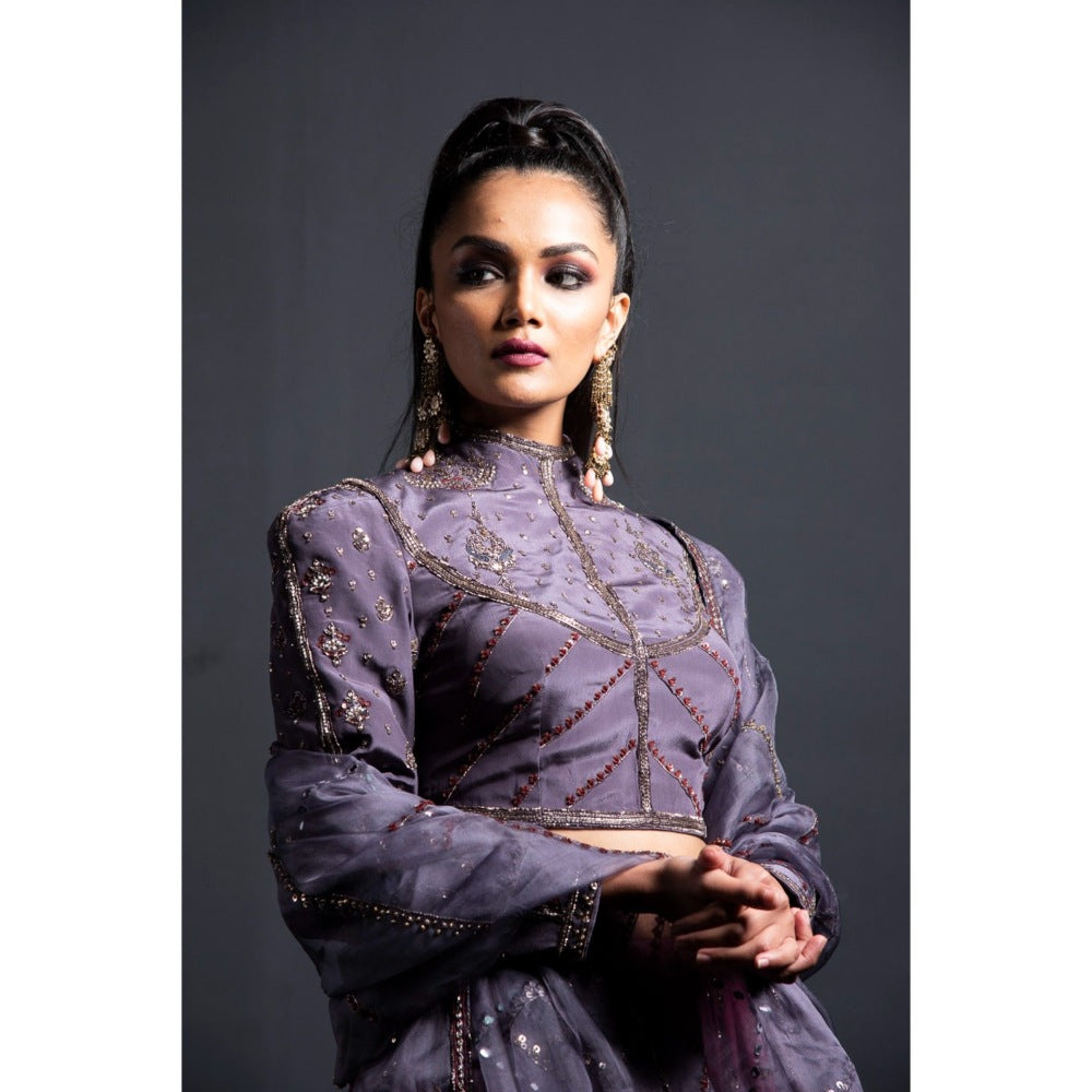 Neha Tarun Wine High Neck Blouse with Lehenga and Dupatta (Set of 3)