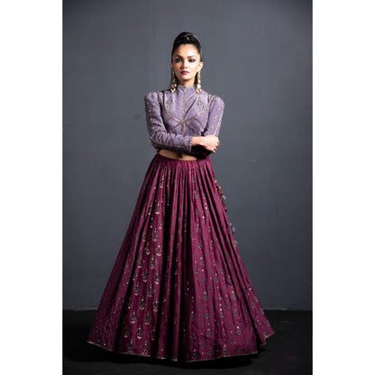 Neha Tarun Wine High Neck Blouse with Lehenga and Dupatta (Set of 3)