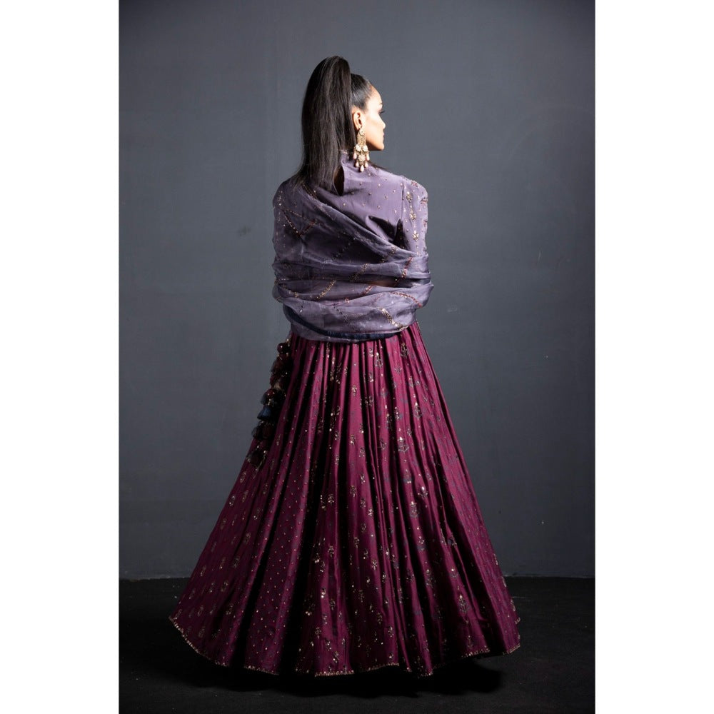 Neha Tarun Wine High Neck Blouse with Lehenga and Dupatta (Set of 3)