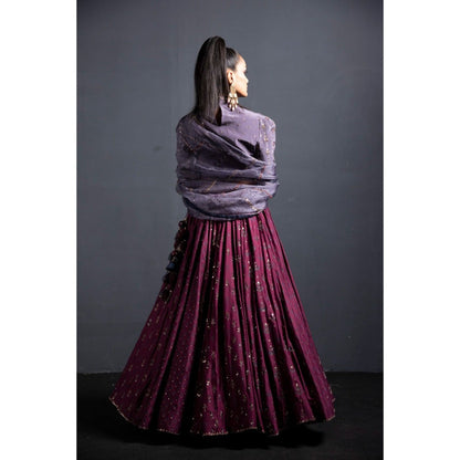 Neha Tarun Wine High Neck Blouse with Lehenga and Dupatta (Set of 3)
